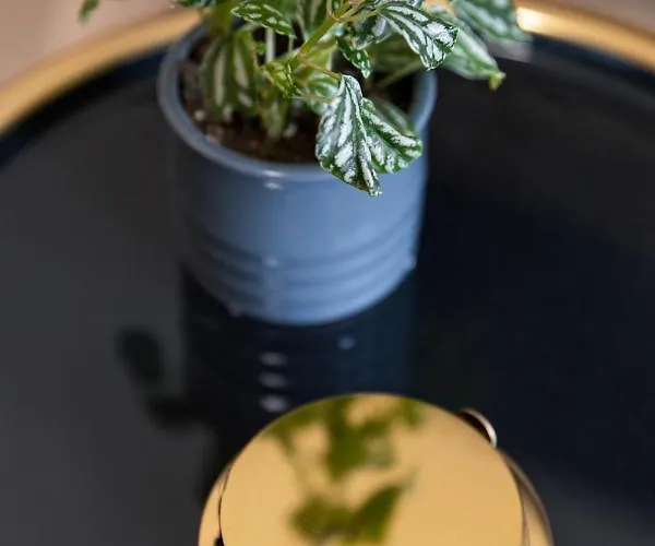 Apartament Chic & Comfort Homes In # 3