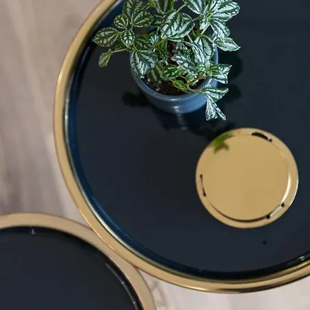 Apartment Chic & Comfort Homes In # 3